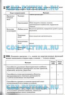 Биология 8 класс лабораторная работа мышцы человеческого