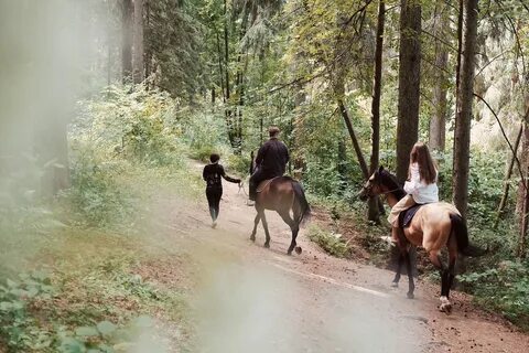 Конные прогулки по лесу