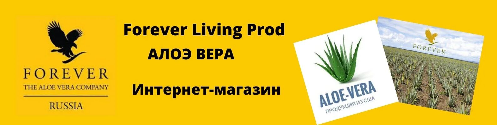 Ливингджой брянск сайт. Форевер сертификаты. Сертификаты алоэ Форевер.