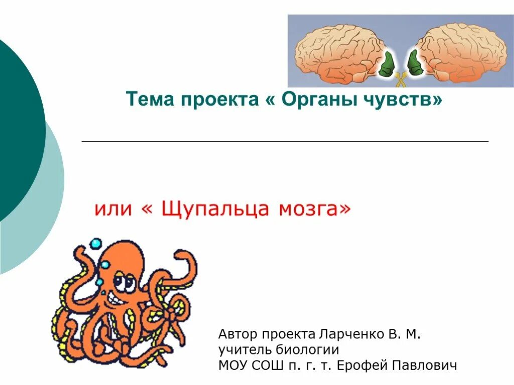 Органы чувств 8 класс биология презентация. Органы чувств. Презентация органы чувств 8 класс биология.