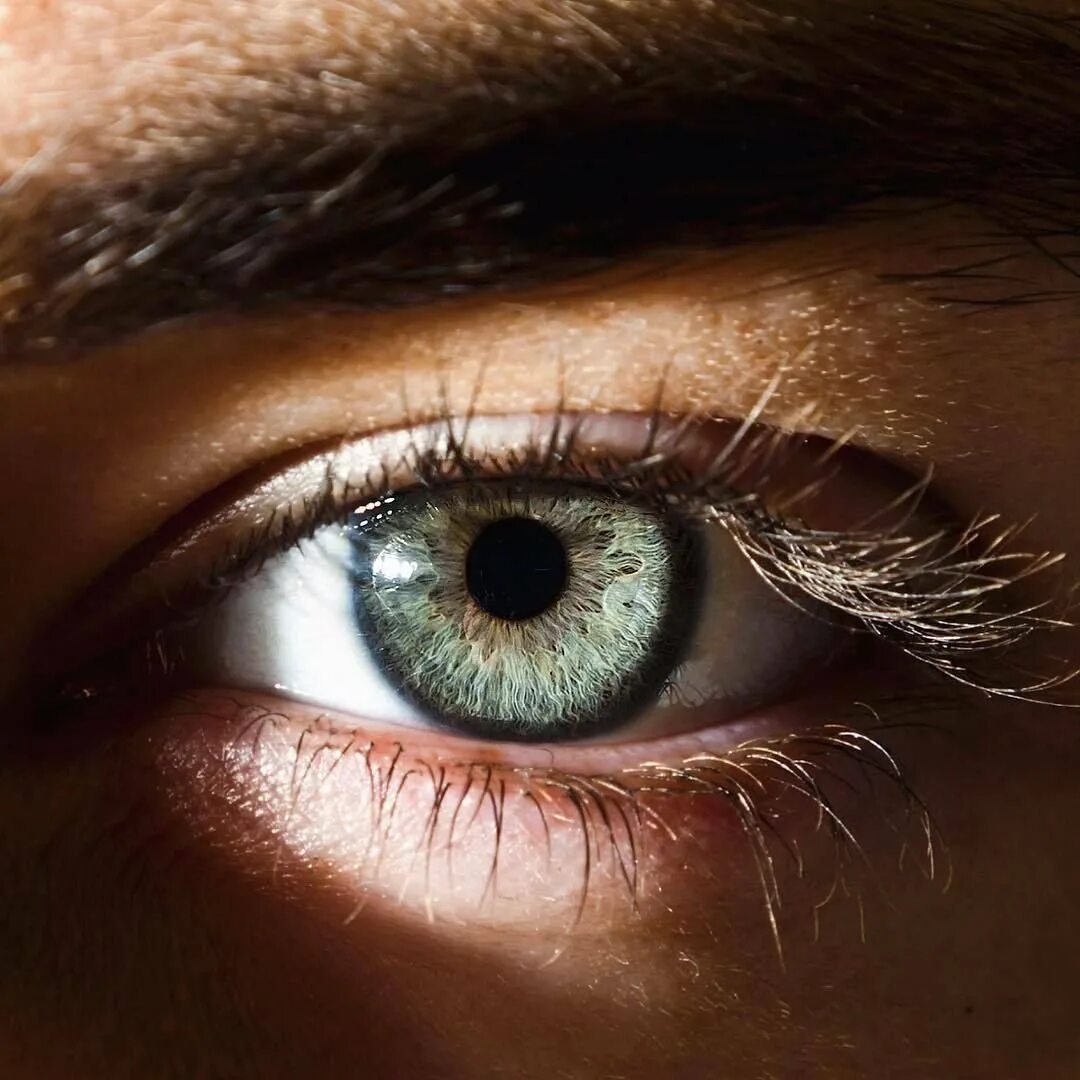 Включи картинку глаза. Красивые глаза. Человеческий глаз. Глаз крупно. Зелёные глаза.