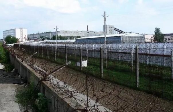 Ик-24 ухта сырочай. Фку 24. Колония ик 24 новобирюсинск. Фку ик 19 ухта. Колония - поселение оленегорск мурманской области.