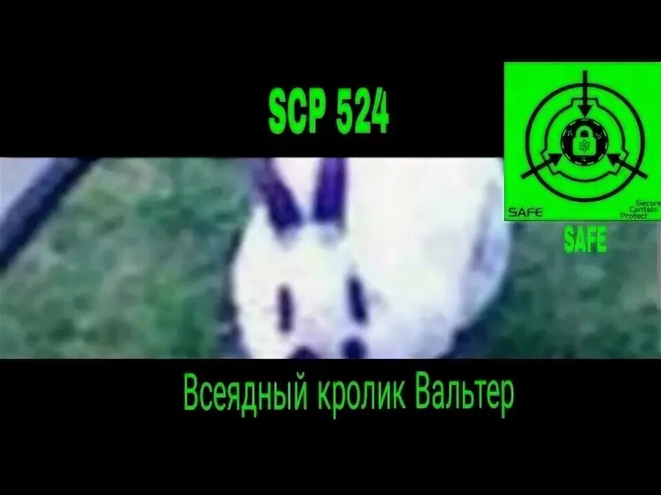 Scp 524. Scp 524
