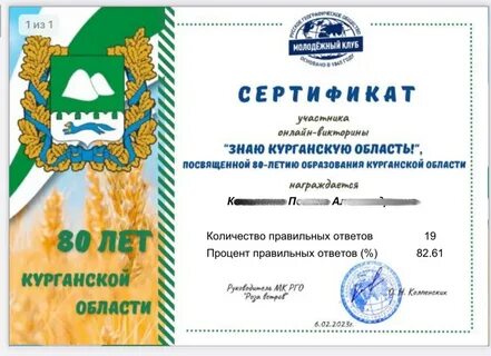 Год курганская область