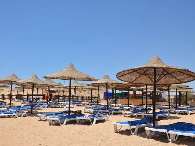 Cyrene sharm отзывы. Cyrene Island Hotel (ex. Aurora Cyrene). 4* (Шарм-Эль-Шейх). Crystal Cyrene 4 Шарм-Эль-Шейх. Cyrene Island Hotel Sharm. Ivy Cyrene Island Hotel 4* Египет, Шарм-Эль-Шейх.