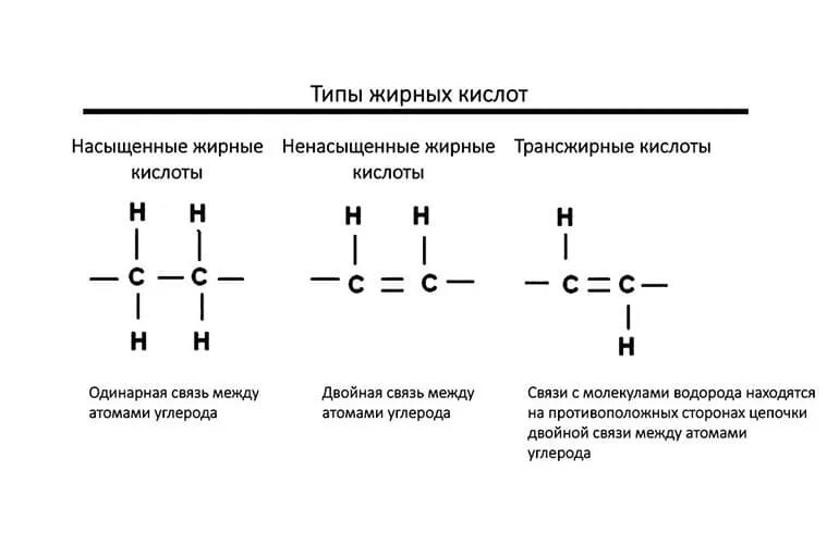 Структура насыщенных жирных кислот. Ненасыщенные жирные кислоты формулы. Структура жирных кислот биохимия. НЖК ненасыщенные жирные кислоты.