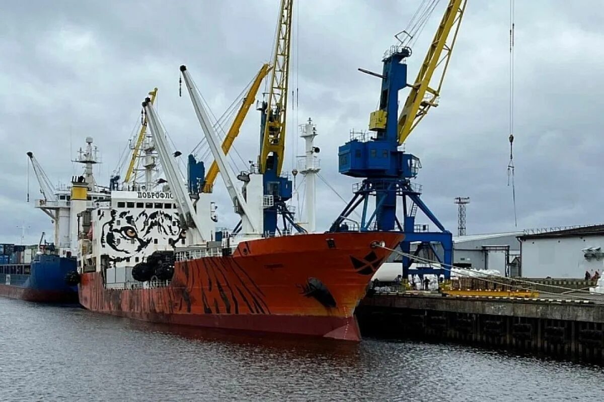 Порт 2023. Порт 2023. Порт 2023. Мариуполь порт сейчас 2023. Мариупольский порт 2022.