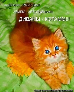 Слово рыжеватый
