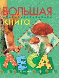 Книга 5 в лесах