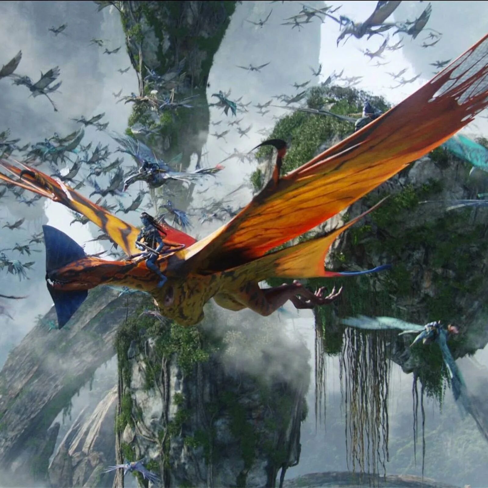 торук макто. торук макто. торук леоноптерикс. аватар турук макто. торук леоноптерикс.