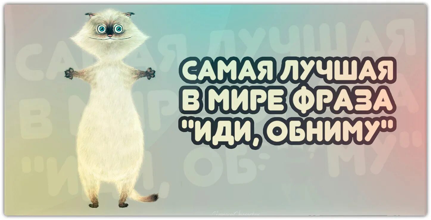 Иди обниму. Самая лучшая в мире фраза иди обниму. Обнимаю прикольные. Иди обниму юмор.