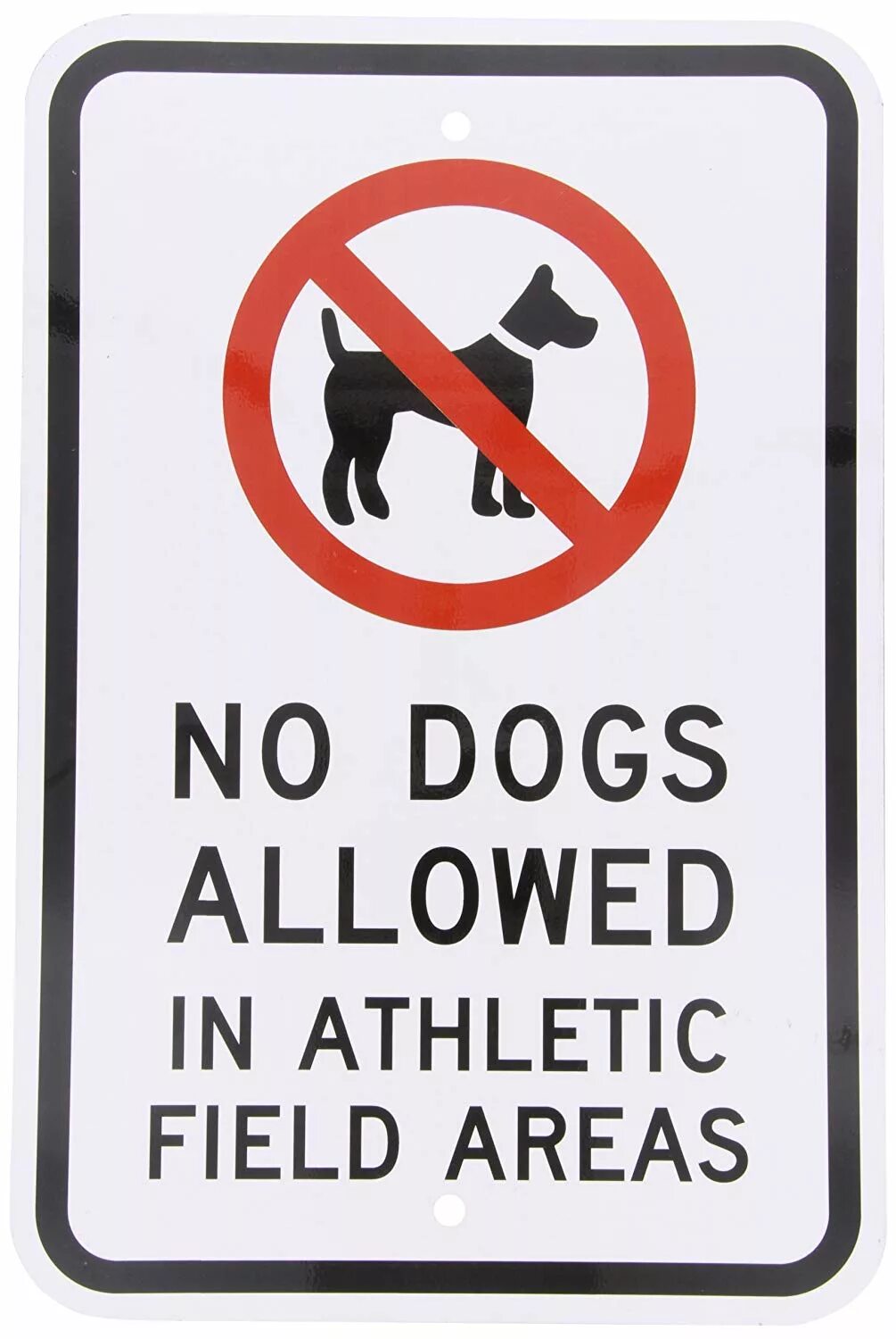 Dogs are not allowed. Pets allowed. Not allowed Dog. Dogs are allowed.