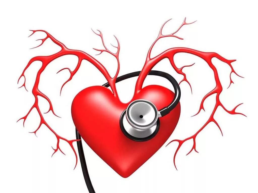 Легкие сердечные заболевания. Сердечно-сосудистые заболевания. Сердце. Болезни сердечно-сосудистой системы. Сосуды сердца.