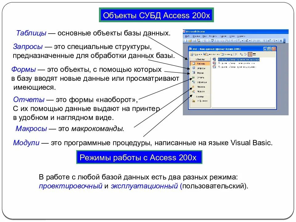 Программные объекты базы данных