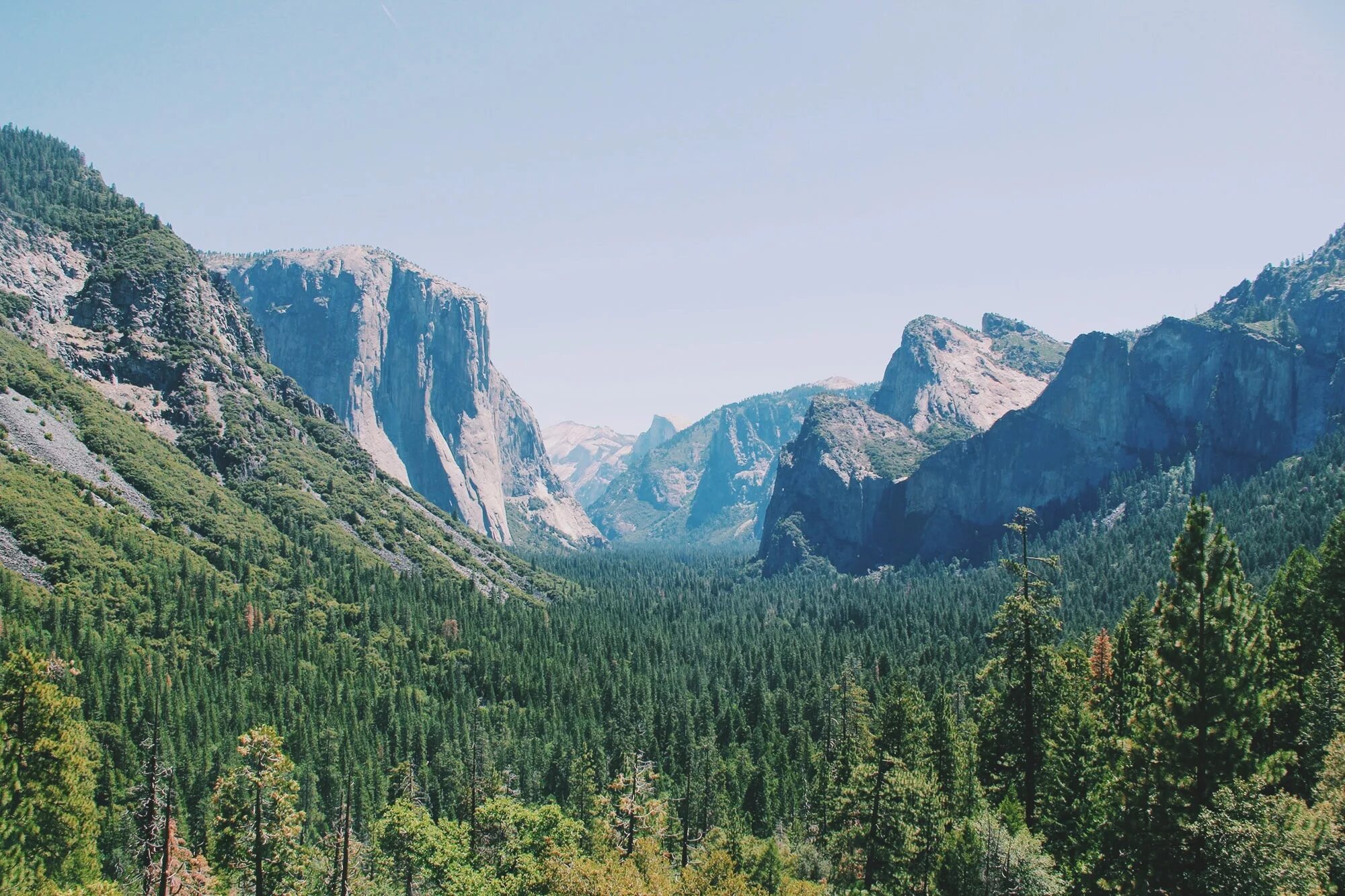 Долина Йосемити Калифорния. Национальный парк Йосемити Калифорния. Горы лес Альпы. Везде работа на горах в долинах рощах