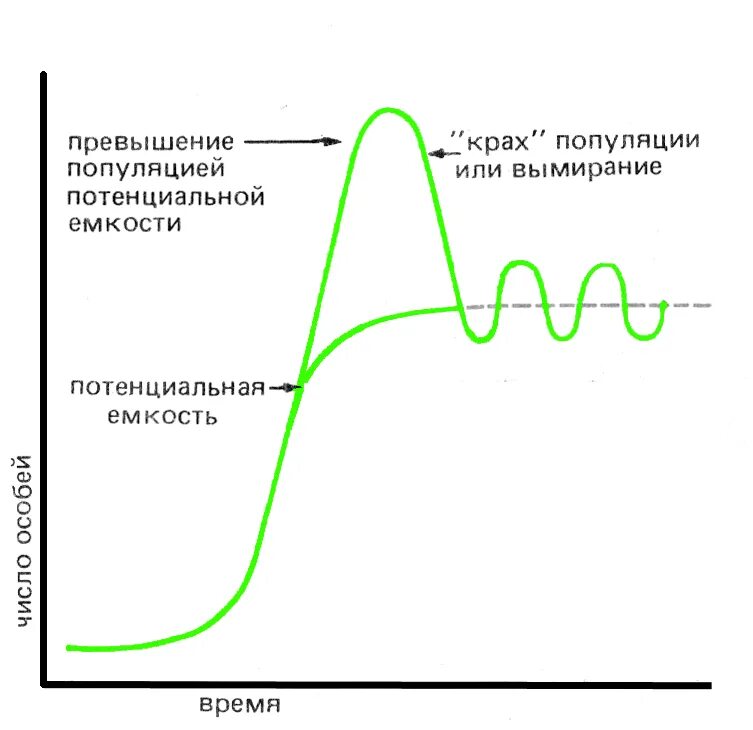 Модели популяции. Логистическая модель роста популяции. логистическая кривая роста популяции. логистическая модель роста численности популяции. уравнение логистического роста популяции.