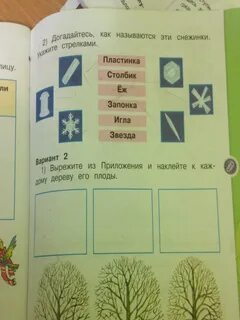 Как называются эти снежинки укажите стрелками