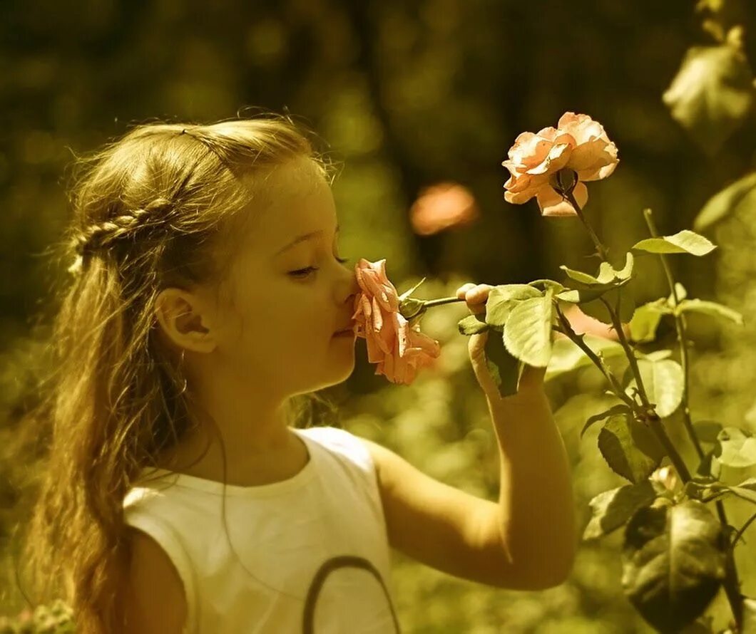 Чувствую запах цветов. Аромат цветов. Девочка нюхает цветок. Вдыхать аромат цветов. Маленькая девочка нюхает цветы.