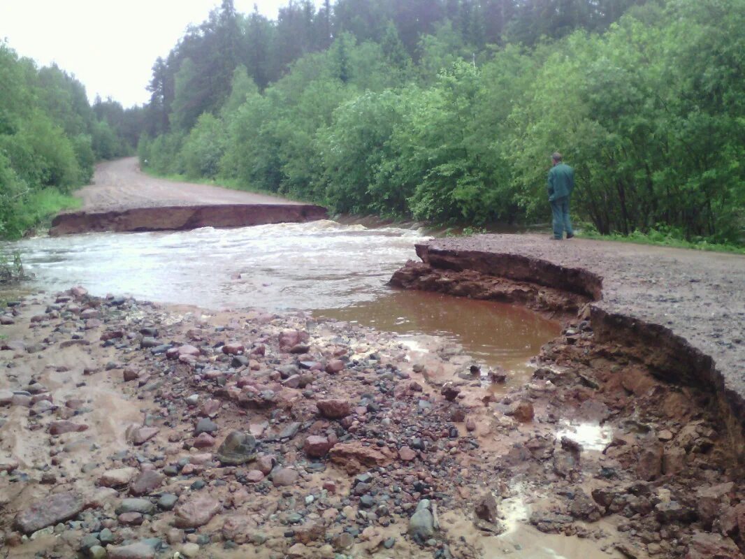 Дрегли новгородская область. Водогон Новгородская область Любытинский район. Деревня Неболчи Новгородская область. Деревня Неболчи Новгородская область Любытинский район. Дрегли Любытинского района.