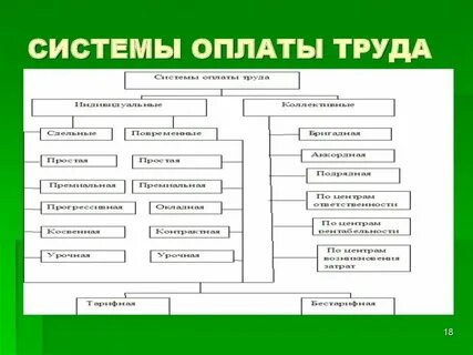 Система оплаты т т