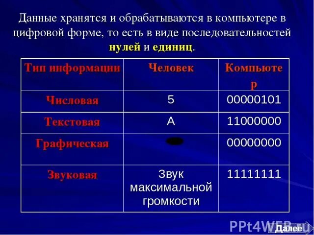 Единица цифровой информации