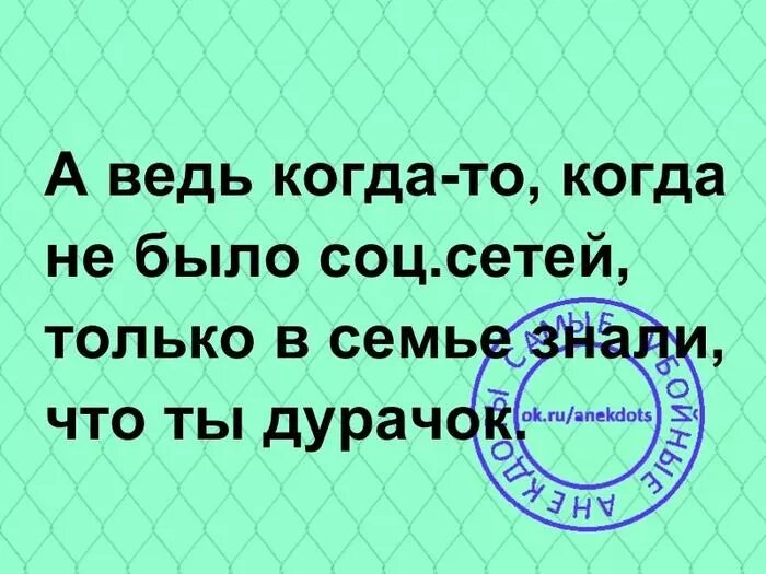 Сеть жили были
