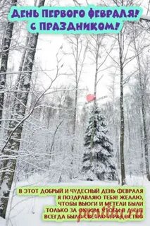 Февраль 59 года