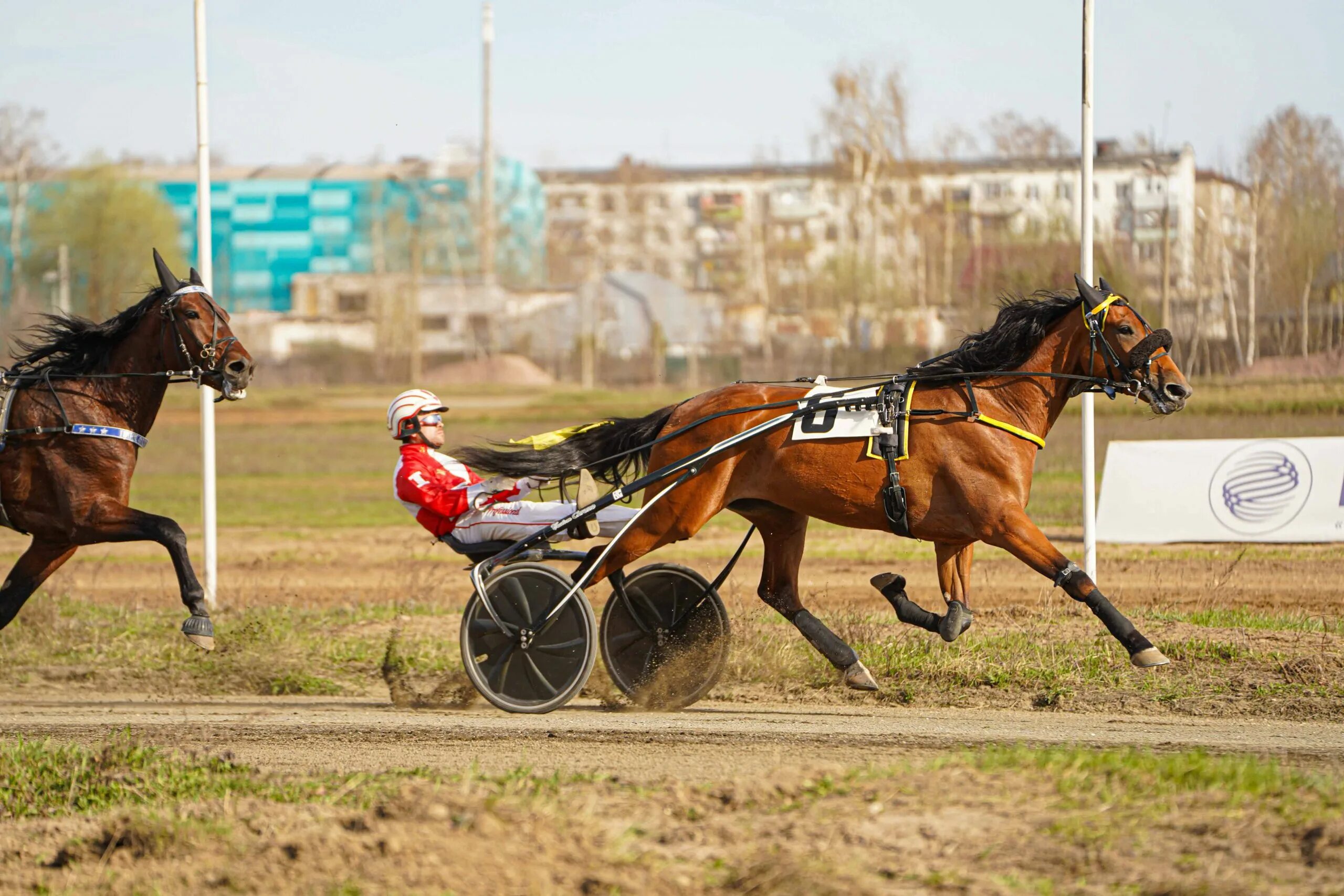 раменский ипподром 2023