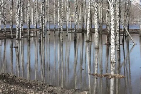 Временное затопление водой местности