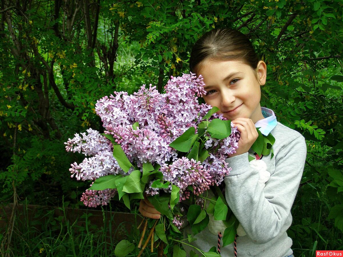 Сирень академик Курчатов. Сирень Авдюкова. Исакова сирень Хикамутдиновна.