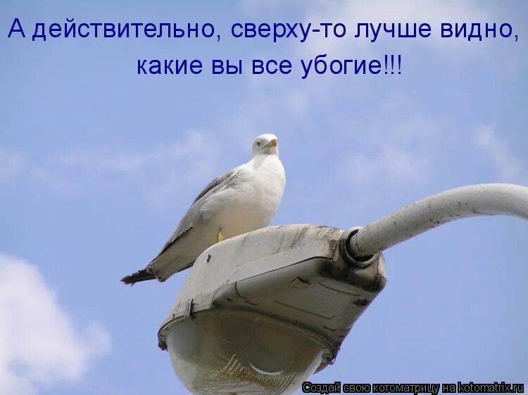 Действительно он так хорош. Хм действительно мем. Помните что не всегда то что вы хотите действительно вам нужно. Картинка действительно. Шутки про базу.