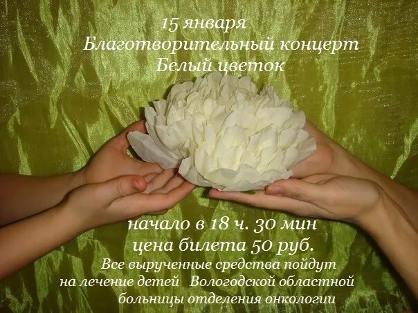 Белый цветок благотворительная акция своими руками. Белый цветок 2021 симферополь. Благотворительный концерт надпись. Праздник милосердия и благотворительности белый цветок. Концерт белый цветок.