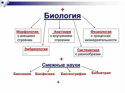 Общая биология это наука изучающая