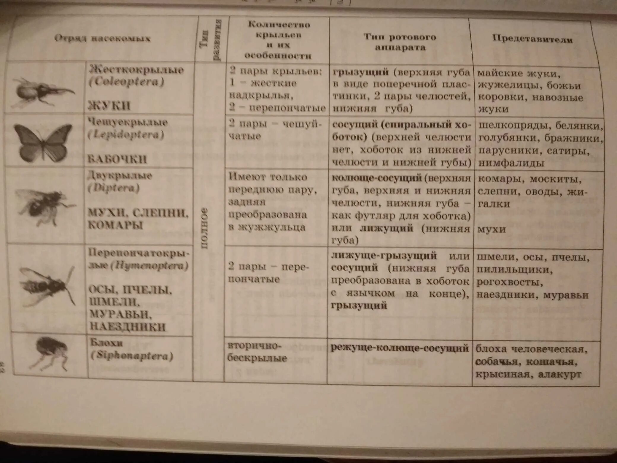 Отряд насекомых тип развития. Характеристика отрядов насекомых таблица. Характеристика насекомых 7 класс биология таблица. Биология 7 класс учебник Константинов таблица насекомые. Таблица насекомые 7 класс биология.