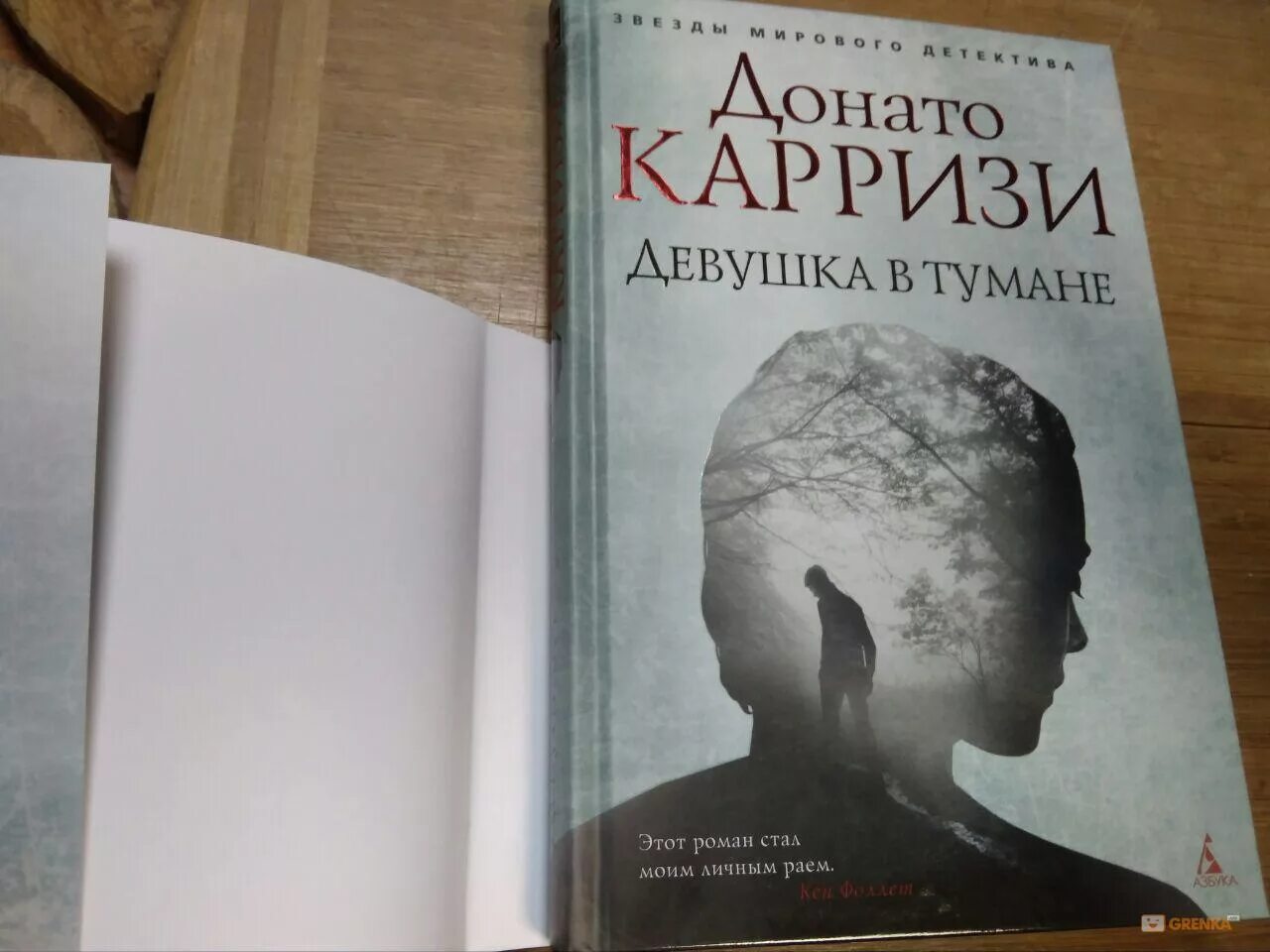 Отзывы книге туман. Донато Карризи девушка в тумане. Девушка в тумане Донато Карризи книга. Донато Карризи девушка в тмне. Донато Карризи девушка в тумане аннотации.