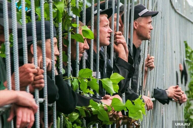 Адаптация бывших заключенных