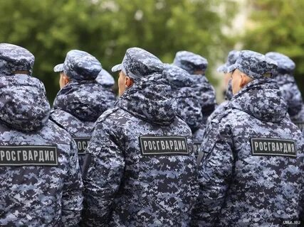 Росгвардия добровольческие