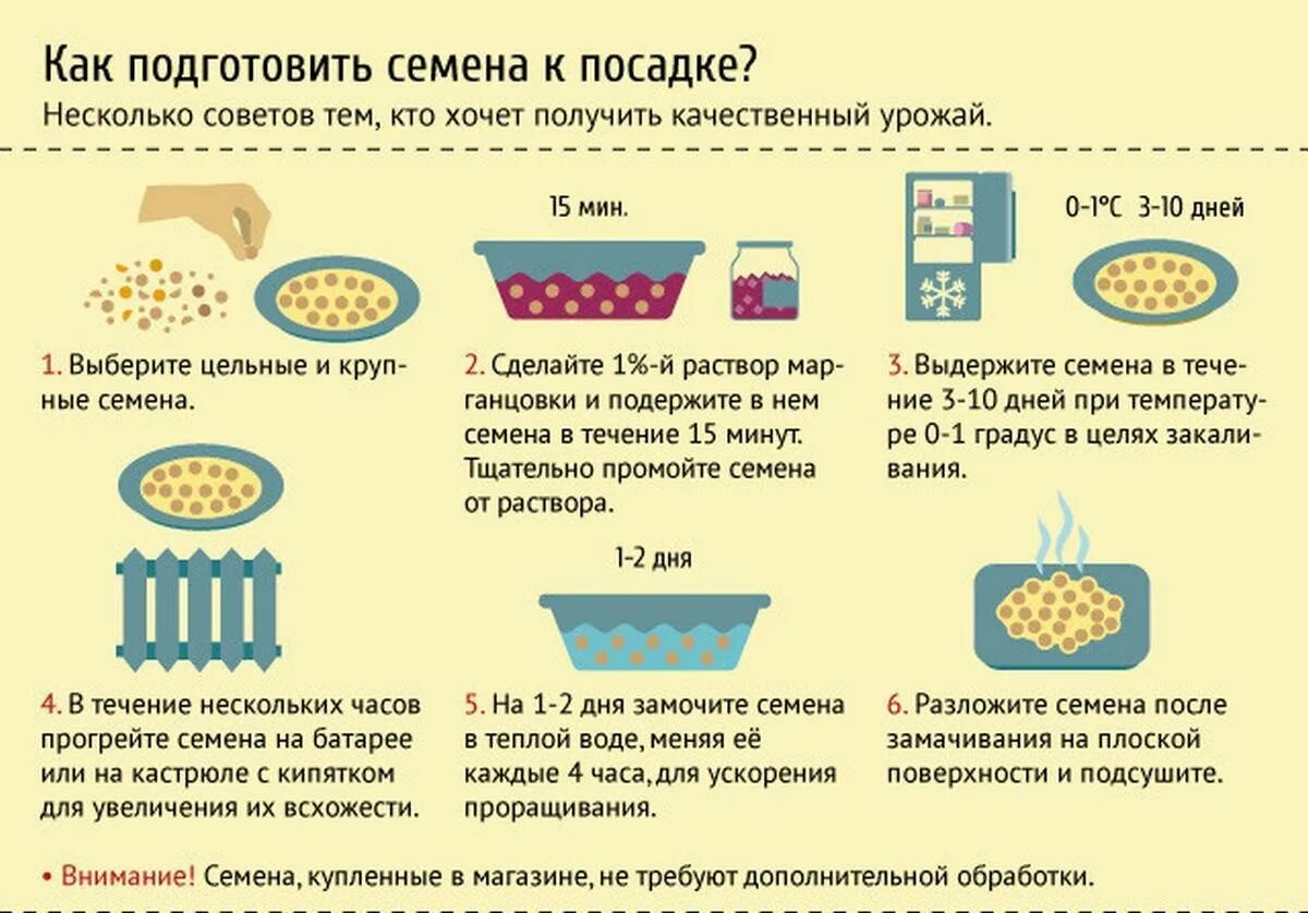 Условия прорастания томата