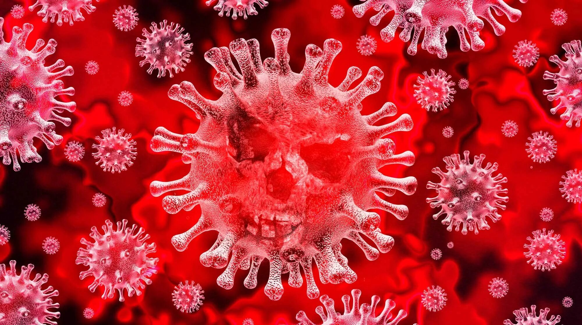 Вирус коронавирус Covid. Вирус Covid-19. Коронавирус красный. Красная бактерия.