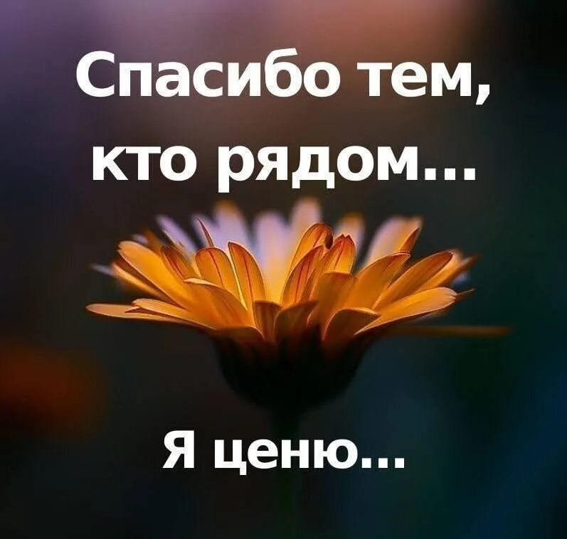 Мне люди должны сказать спасибо кто поет. Благодарность за поддержку в трудную минуту. Спасибо всем за поддержку в трудную минуту. Спасибо всем кто со мной. Спасибо друзьям за поддержку.