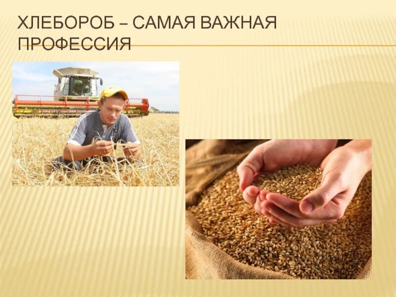 Хлебороб значение. Хлебороб значение