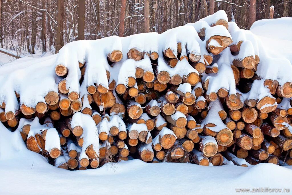 Дрова берёзовые колотые. Дровишки. Дрова береза. Деревянное полено. Дрова.
