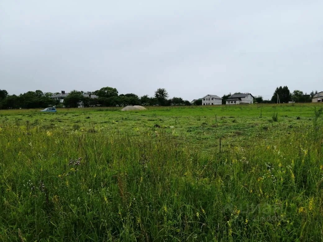 Совьяки парк. Деревня яглово калуга. Ферзиковский район с авчурино ул центральная 27. Земля участки калужская область. Дадровка калужская область жуковский район.