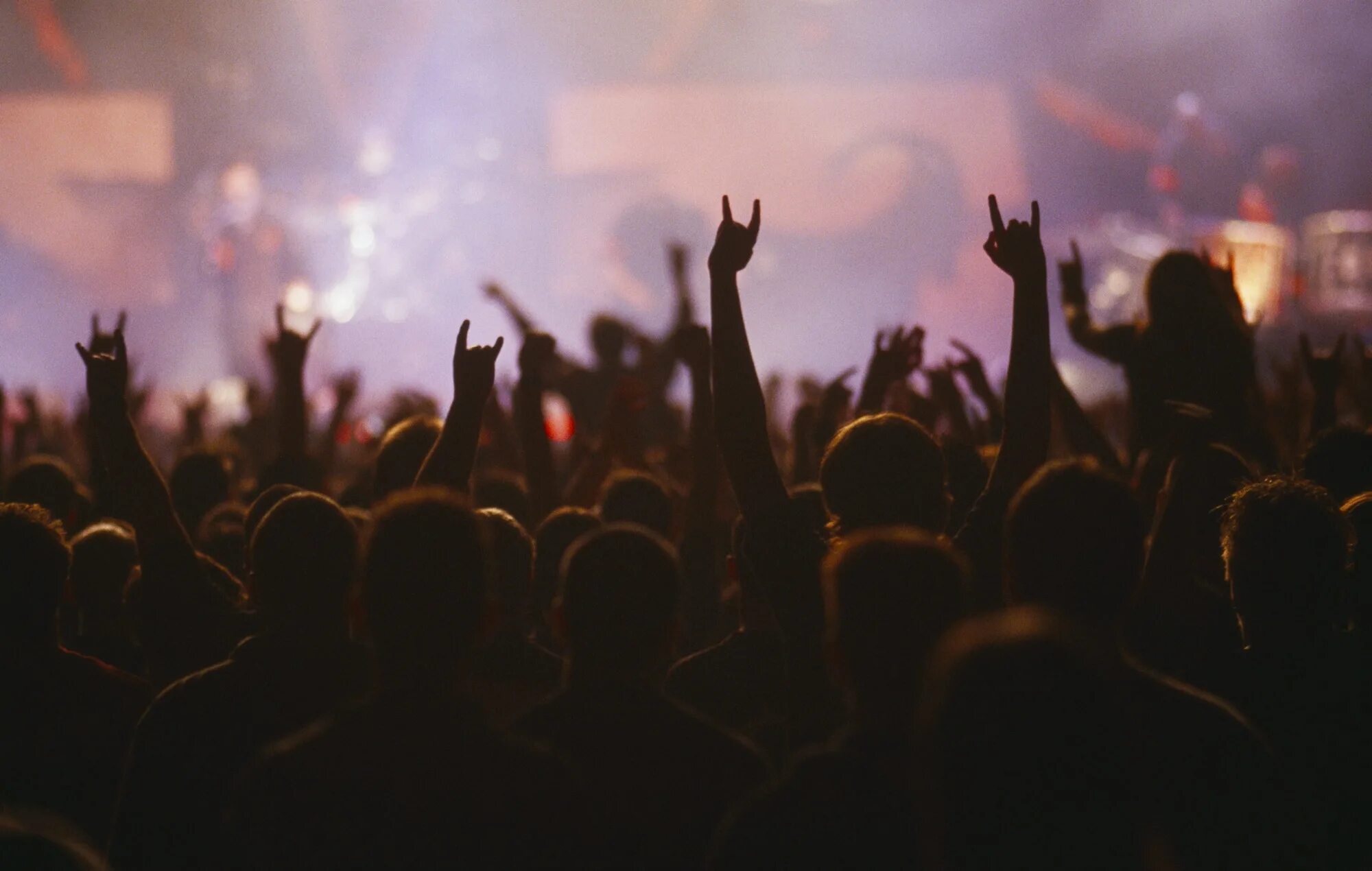 Live audience. Audience at the Concert. Live Concert. Gig Concert. Half of the Concert.