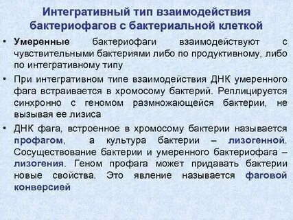 Умеренные бактериофаги