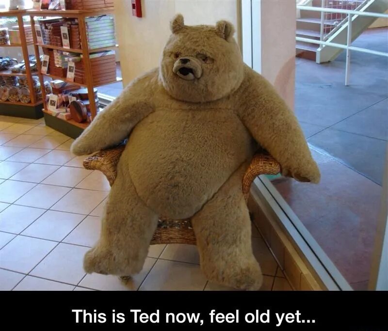Ted is boring he does everything. Мем тед. плюшевый мишка мем. мем плюшевый мишка в углу. buff teddy bear.