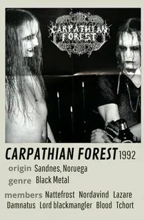 Carpathian forest