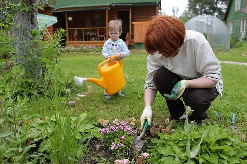 Работа в огороде. Труд на даче. что сажают в огороде. огородники на даче. ухаживание за огородом.