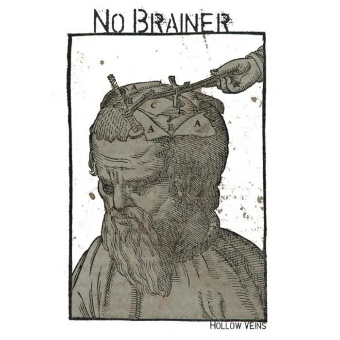 No brainer. No-Brainer idiom. Be a no Brainer. What is no Brainer.