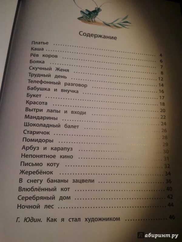 Видеть содержание 1
